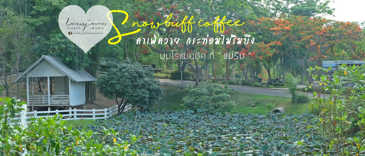 cover Snowbuff Coffee คาเฟ่ควาย กระท่อมไม้ริมบึง มุมโรแมนติค ที่ #แม่ริม #เชียงใหม่