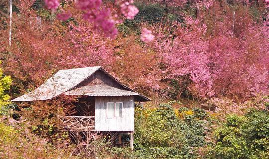 cover 5 routes around Chiang Mai by Motorcycle