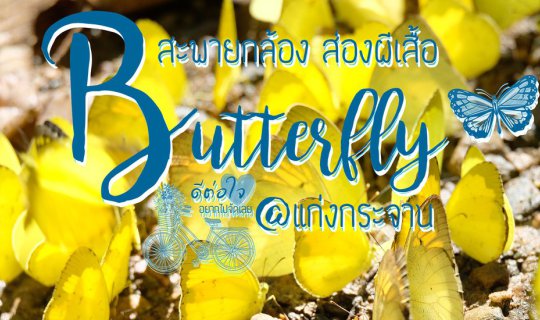 Cover สะพายกล้อง ส่องผีเสื้อ ที่แก่งกระจาน เพชรบุรี...