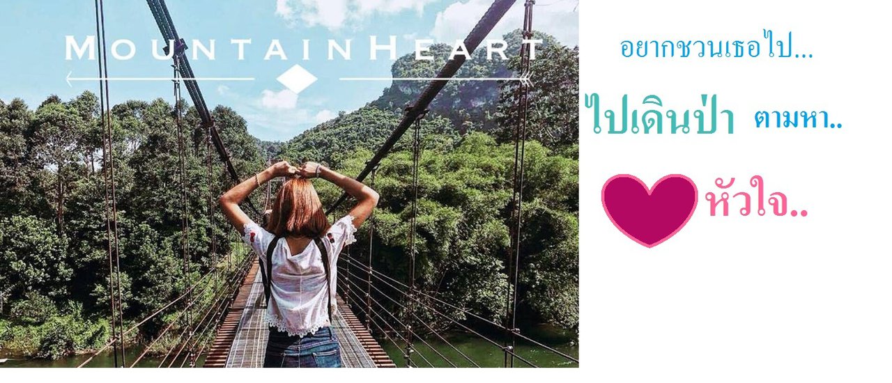 cover ออกไปเดินป่า ตามหาหัวใจ