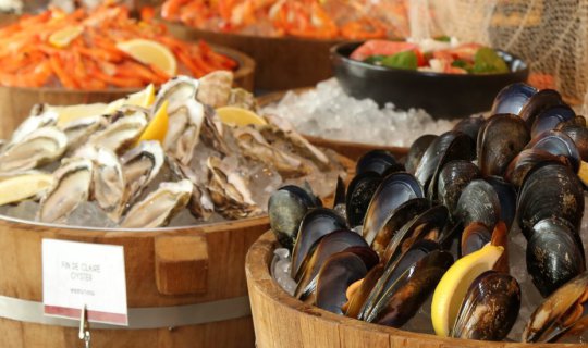 cover Scalini goes wild ซันเดย์บรันช์ชื่อเก๋ อาหารพรีเมี่ยม อร่อย คุ้ม บริการเยี่ยม