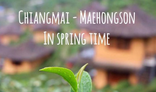 cover chiangmai - maehongson in spring time