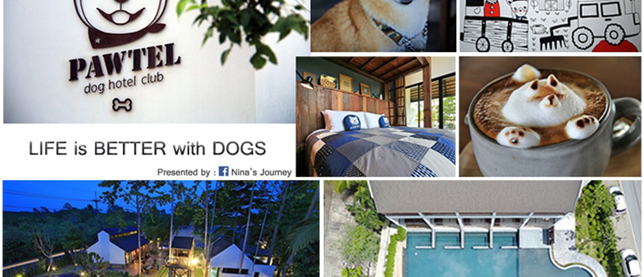 cover Pawtel : Dog Hotel Club - ที่พักสำหรับคนรักน้องหมา