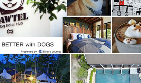 cover Pawtel : Dog Hotel Club - ที่พักสำหรับคนรักน้องหมา