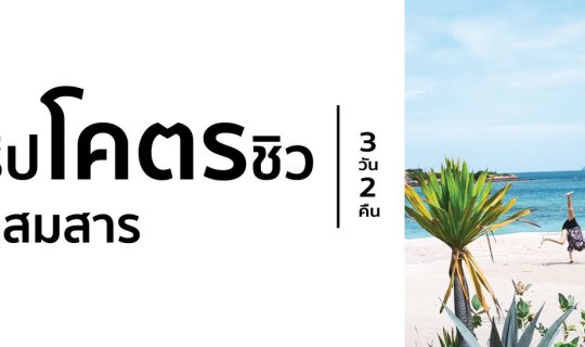 cover ทริปโคตรชิว @แสมสาร 3 วัน 2 คืน