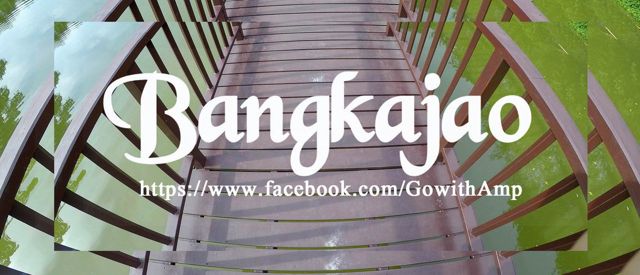 cover 1 วัน ที่บางกะเจ้า ขับรถยนต์ ไปปั่นจักรยาน