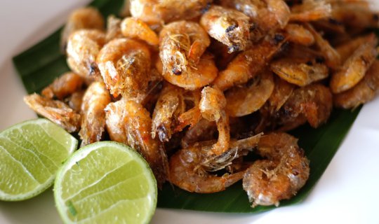 cover Wave Side Restaurant ร้านอาหารริมแม่น้ำเจ้าพระยา ครบเครื่องความอร่อย แห่งเชียงรากน้อย ย่านปทุมธานี