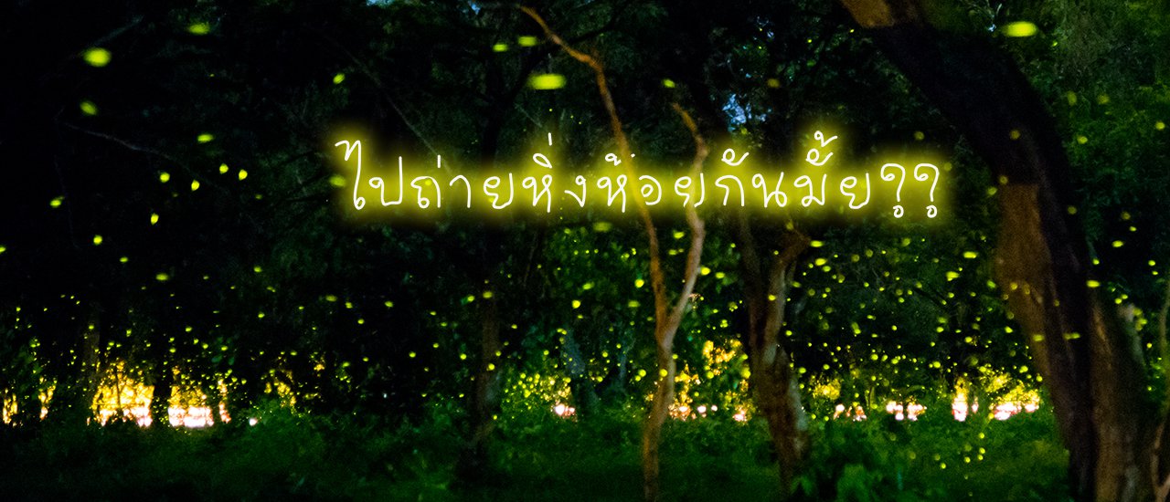 cover ไปถ่ายหิ่งห้อยที่ปราจีนกันม่ะ (วิธีถ่ายหิ่งห้อยพร้อมพิกัด)