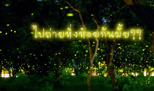cover ไปถ่ายหิ่งห้อยที่ปราจีนกันม่ะ (วิธีถ่ายหิ่งห้อยพร้อมพิกัด)