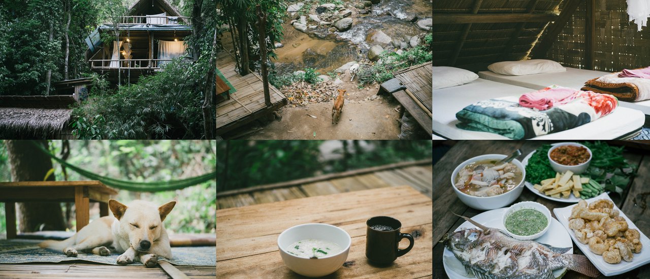 cover " เ ฌ อ ชี ว า " ธ ร ร ม ช า ติ บำ บั ด อ ย่ า ง แ ท้ จ ริ ง