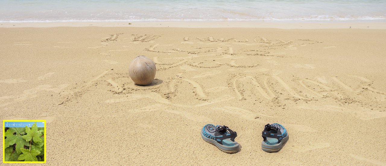 cover When I am Invited to Explore the Island of【Low Carbon Destination】@ Koh Mak