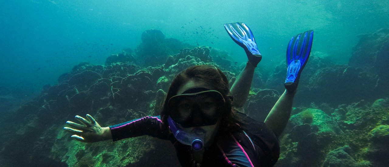 cover ตามหากระต่ายน้อยที่ชุมพรๆ