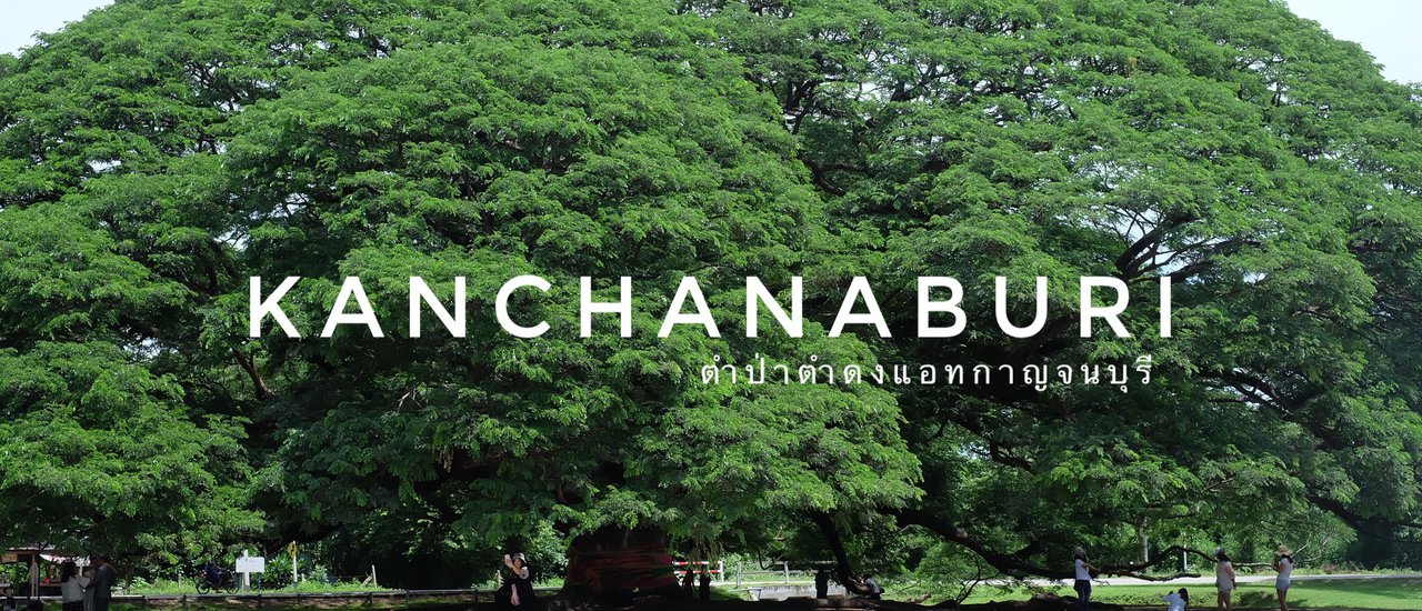 cover ตำป่าตำดงแอทกาญจนบุรี