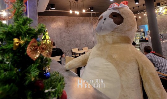 Cover ใช้ชีวิตช้าๆ แบบชิคๆ ที่ Slow life Cafe...