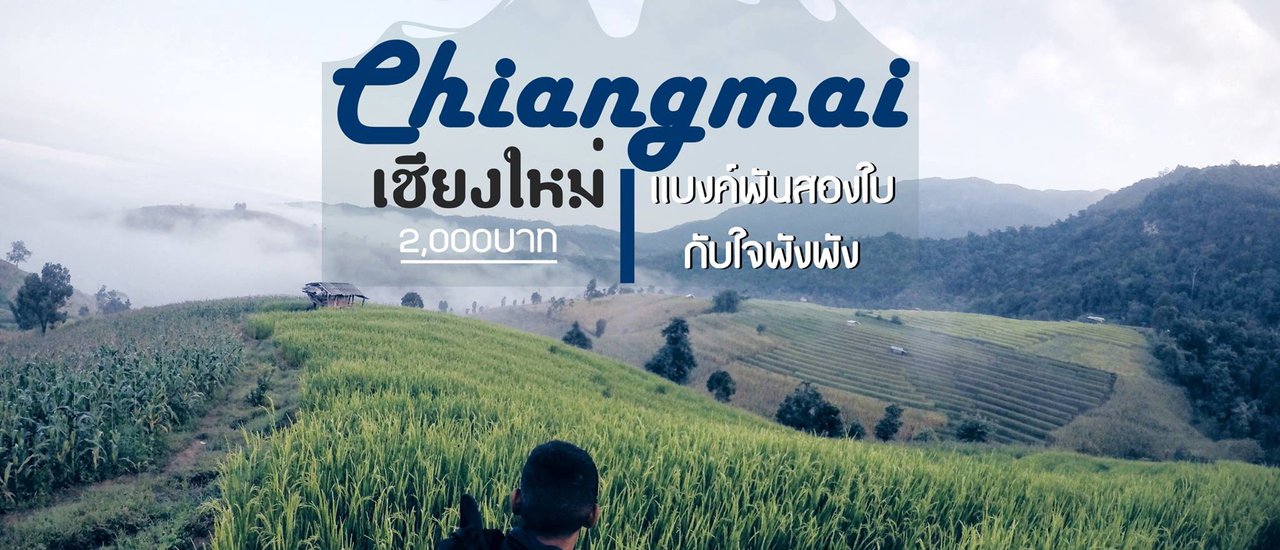 cover เชียงใหม่ • แบงค์พันสองใบ - กับใจพังพัง •