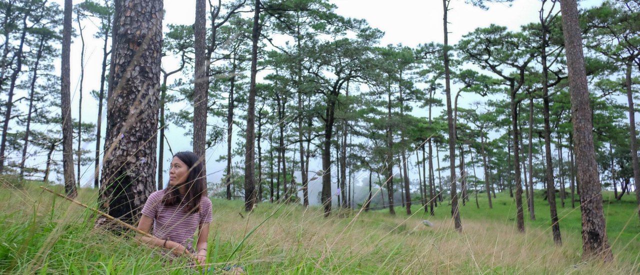 cover ภูสอยดาว ไม่ใช่หน้าหนาวแต่ไปหน้าฝน