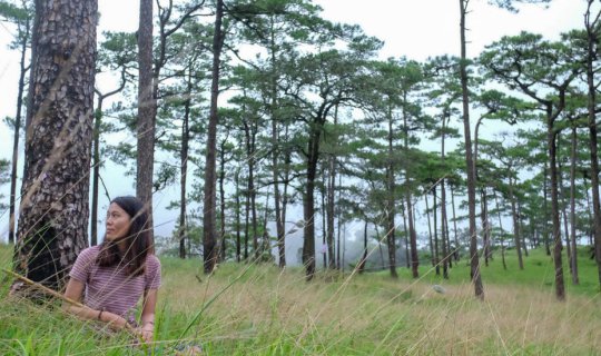 cover ภูสอยดาว ไม่ใช่หน้าหนาวแต่ไปหน้าฝน