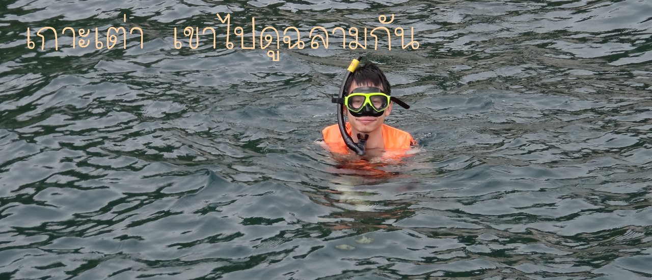 cover เกาะเต่า (ชุมพร) เขาไปดูฉลามกัน 2017-07-06