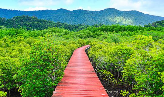 cover หยิบเงิน 3065 บาท ไปเที่ยว ตราด ต่อ เกาะช้าง กินนอนพักสบาย เที่ยวเต็มอิ่ม 4วัน3 คืน คุ้มยิ่งกว่าคุ้ม