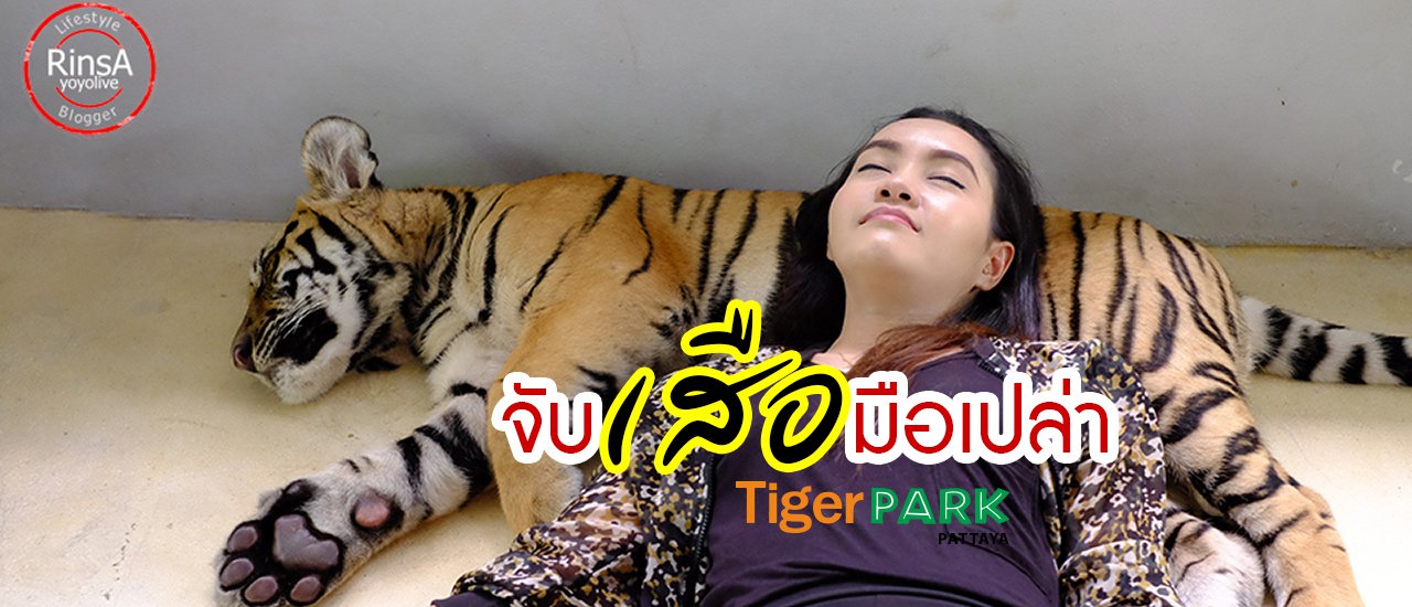 cover วัดใจกันหน่อย !! จับเสือมือเปล่า Tiger Park Pattaya