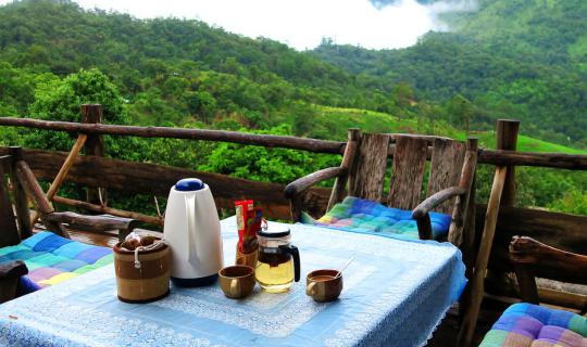 cover #ม่วงมหากาฬรีวิว #“ ร ะ เ บี ย ง ด า ว – ม่ อ น แ จ่ ม – แ ม่ ก ล า ง ห ล ว ง ” ความงดงามแห่งสายฝน