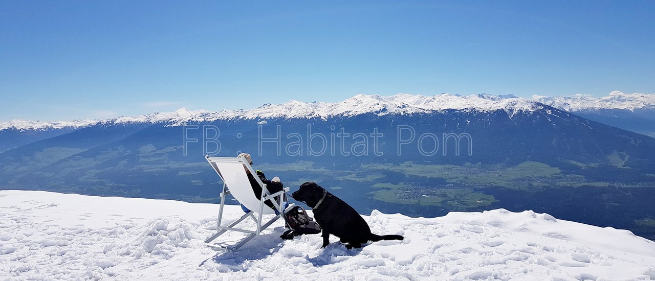 cover แดดไม่ทำให้ร้อน และ หิมะไม่ทำให้หนาวที่ Innsbruck