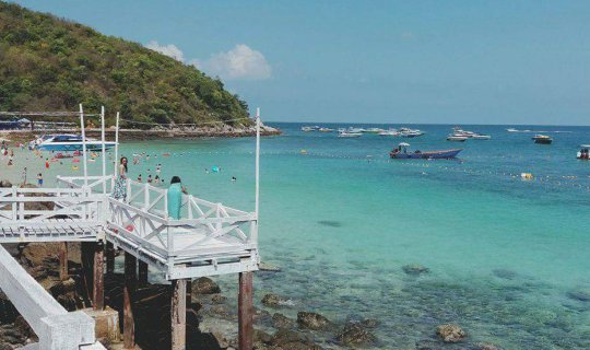 Cover ใคร ใคร ก็ไป เกาะล้าน...