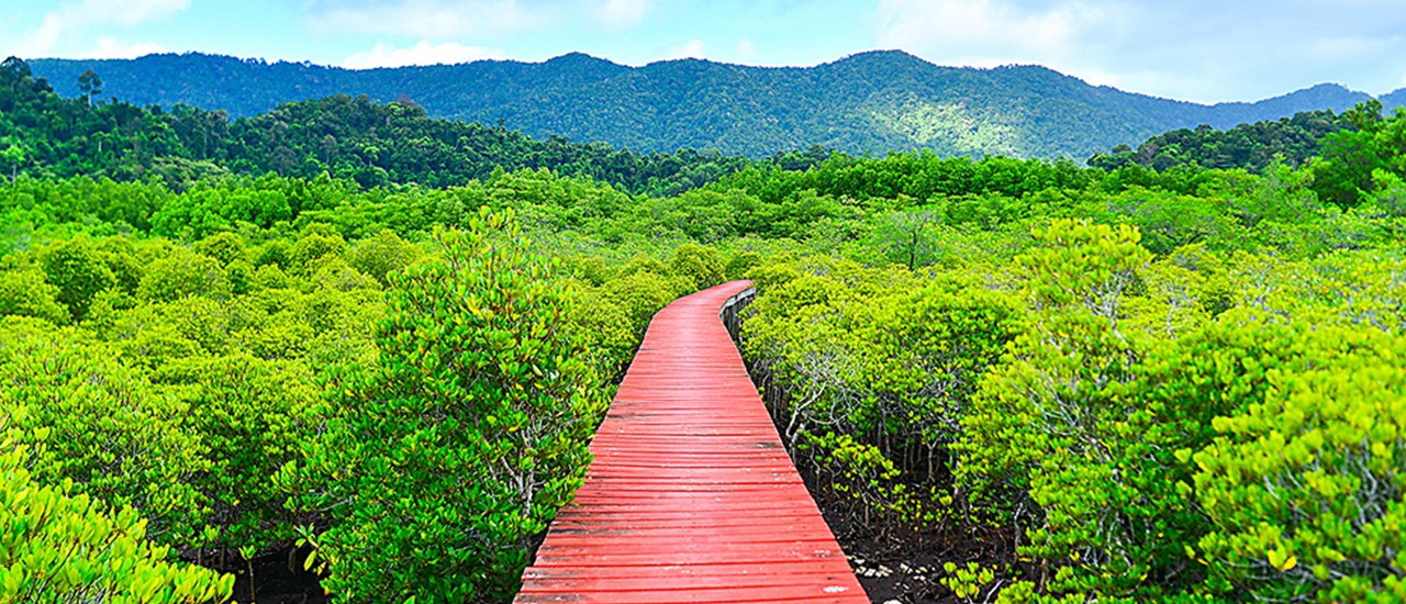 cover Let's go to Trat and Koh Chang with 3,065 THB! 4 Days and 3 Nights to Travel-Chill-Relax-Eat-and Sleep, Totally Worth it!