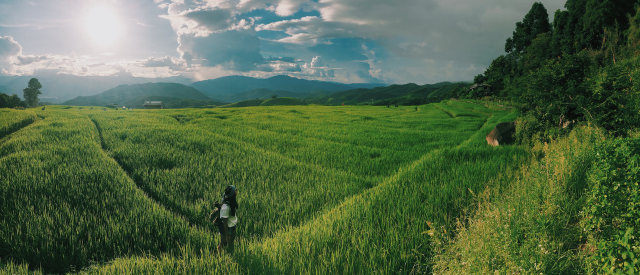 cover Baan Pa Bong Piang "The rainy valley", Chiang Mai