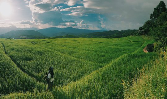 Cover Baan Pa Bong Piang "The rainy valley", Chiang Mai...