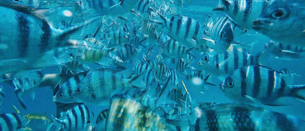 cover ตามหาทะเลใจที่เกาะช้าง " H E A R T B E A C H "