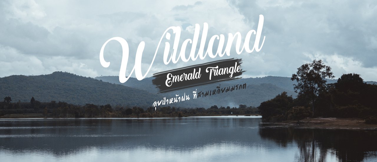 cover Wildland Emerald Triangle " 1 วัน ลุยป่าหน้าฝน ที่ สามเหลี่ยมมรกต"
