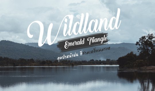 cover Wildland Emerald Triangle " 1 วัน ลุยป่าหน้าฝน ที่ สามเหลี่ยมมรกต"