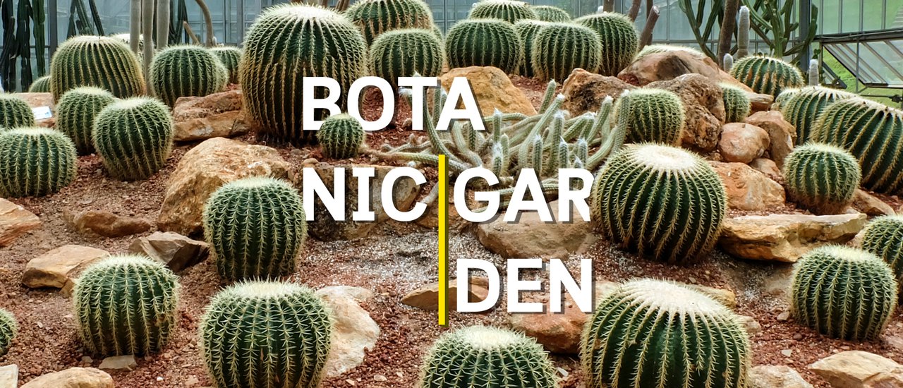 cover รีวิว สวนพฤกษศาสตร์ เชียงใหม่ Queen Sirikit Botanic Garden