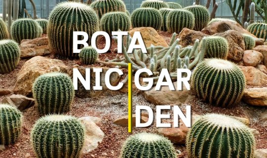 Cover รีวิว สวนพฤกษศาสตร์ เชียงใหม่ Queen Sirikit Botanic Garden...