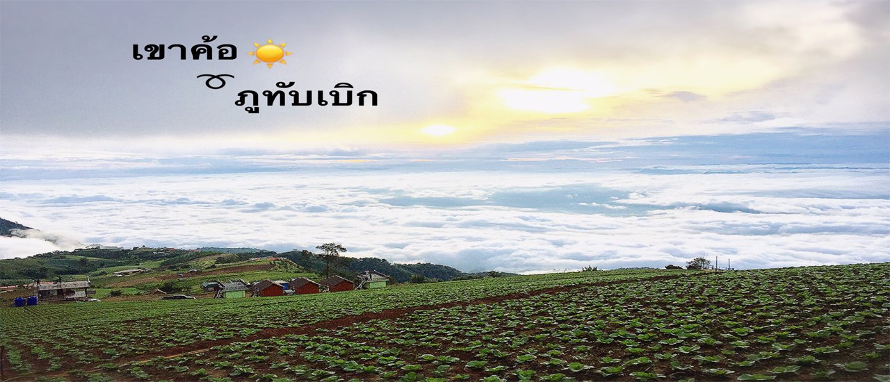 cover เมืองแห่งหมอก ที่ ภูทับเบิก - เขาค้อ