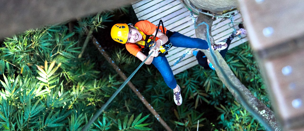 cover Flight of Gibbon บินอย่างชะนี ที่แม่กำปอง