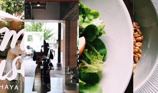 cover The Summer House; Ayutthaya