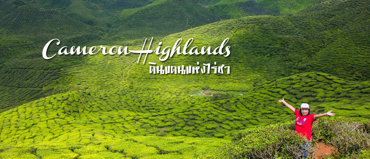 cover Cameron Highlands ดินแดนแห่งไร่ชา