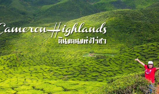 cover Cameron Highlands ดินแดนแห่งไร่ชา