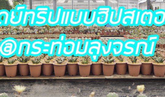 Cover เดย์ทริปแบบฮิปสเตอร์ "กระท่อมลุงจรณ์" สวรรค์ของคนรัก cactus...