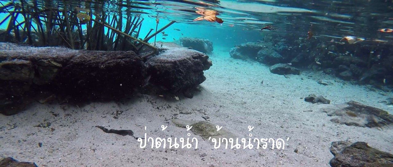 cover Unseen : ป่าต้นน้ำ "บ้านน้ำราด" กระจกสะท้อนกลางป่า