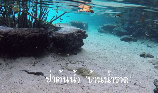 cover Unseen : ป่าต้นน้ำ "บ้านน้ำราด" กระจกสะท้อนกลางป่า