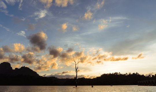 cover แพ 500 ไร่ในฤดูฝน