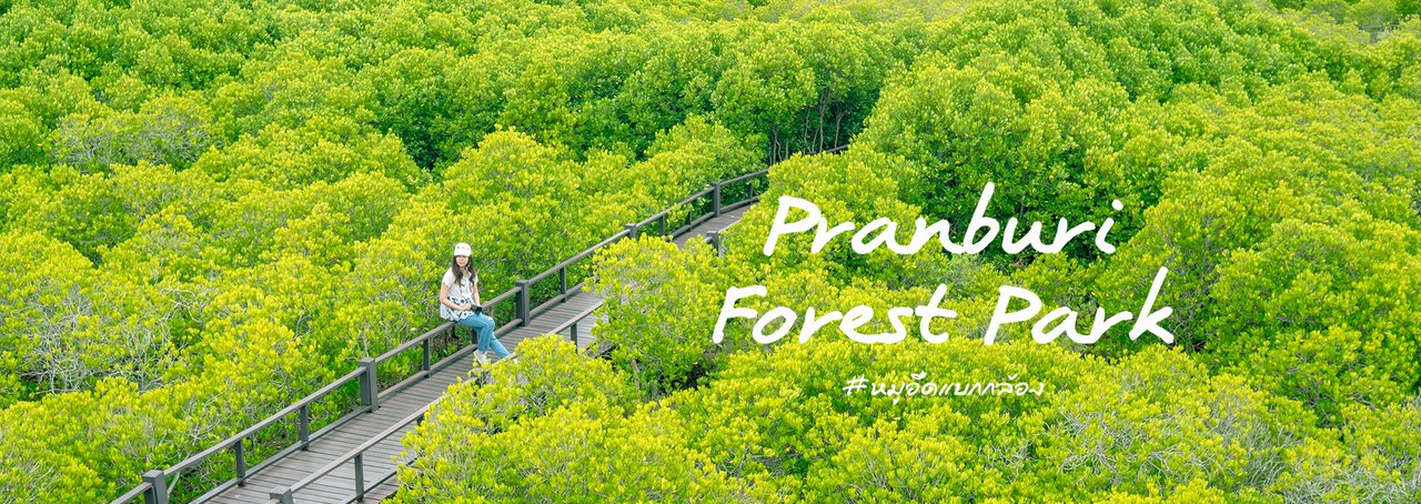 cover พื้นที่สีเขียว🍃ที่ปราณบุรี