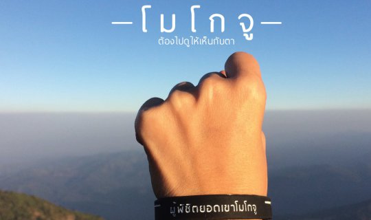 cover โมโกจู...ต้องไปดูให้เห็นกับตา