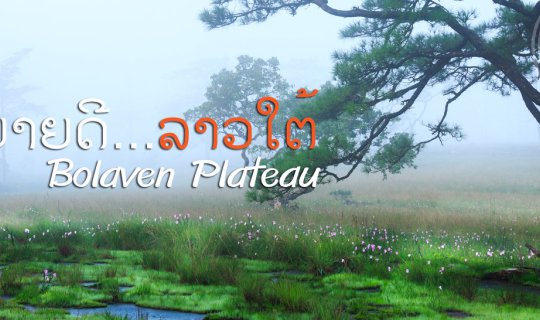 cover ที่ราบสูงโบลาเวน มนต์เสน่ห์แห่งลาวใต้