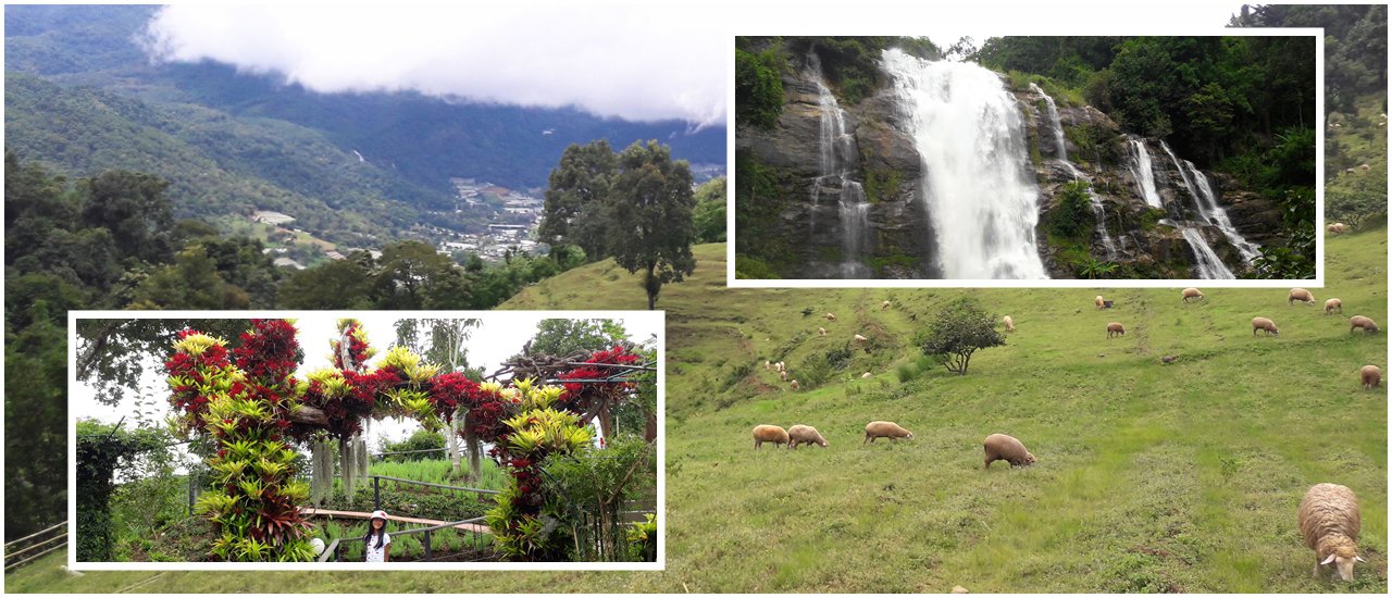 cover ดอยอินทนนท์ inlove (มีคลิป) Doi Inthanon In Rainy Season ^^