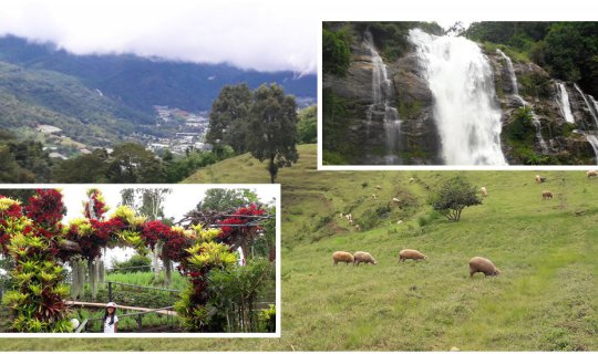 cover ดอยอินทนนท์ inlove (มีคลิป) Doi Inthanon In Rainy Season ^^