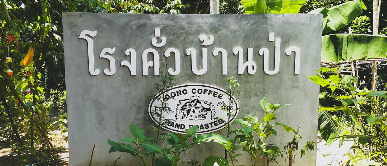 cover โรงคั่วบ้านป่า กาแฟคั่วสด จ.พัทลุง